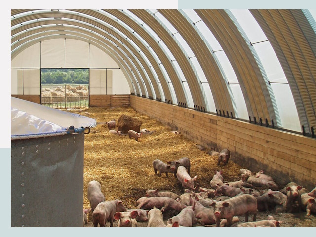 Строительство свинарников в Владикавказе