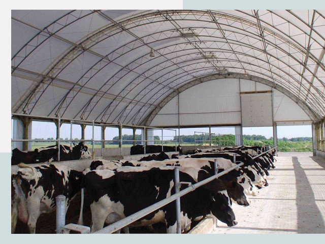 Тентовые коровники в Владикавказе